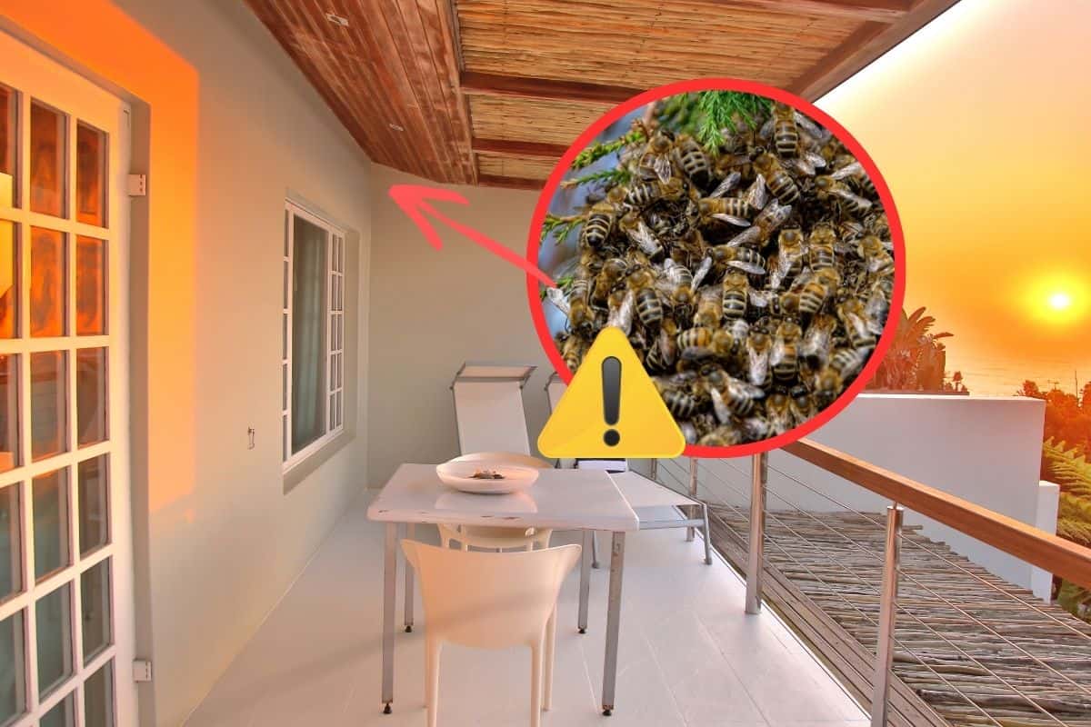 Balcone con cerchio e all'interno un alveare, con simbolo attenzione